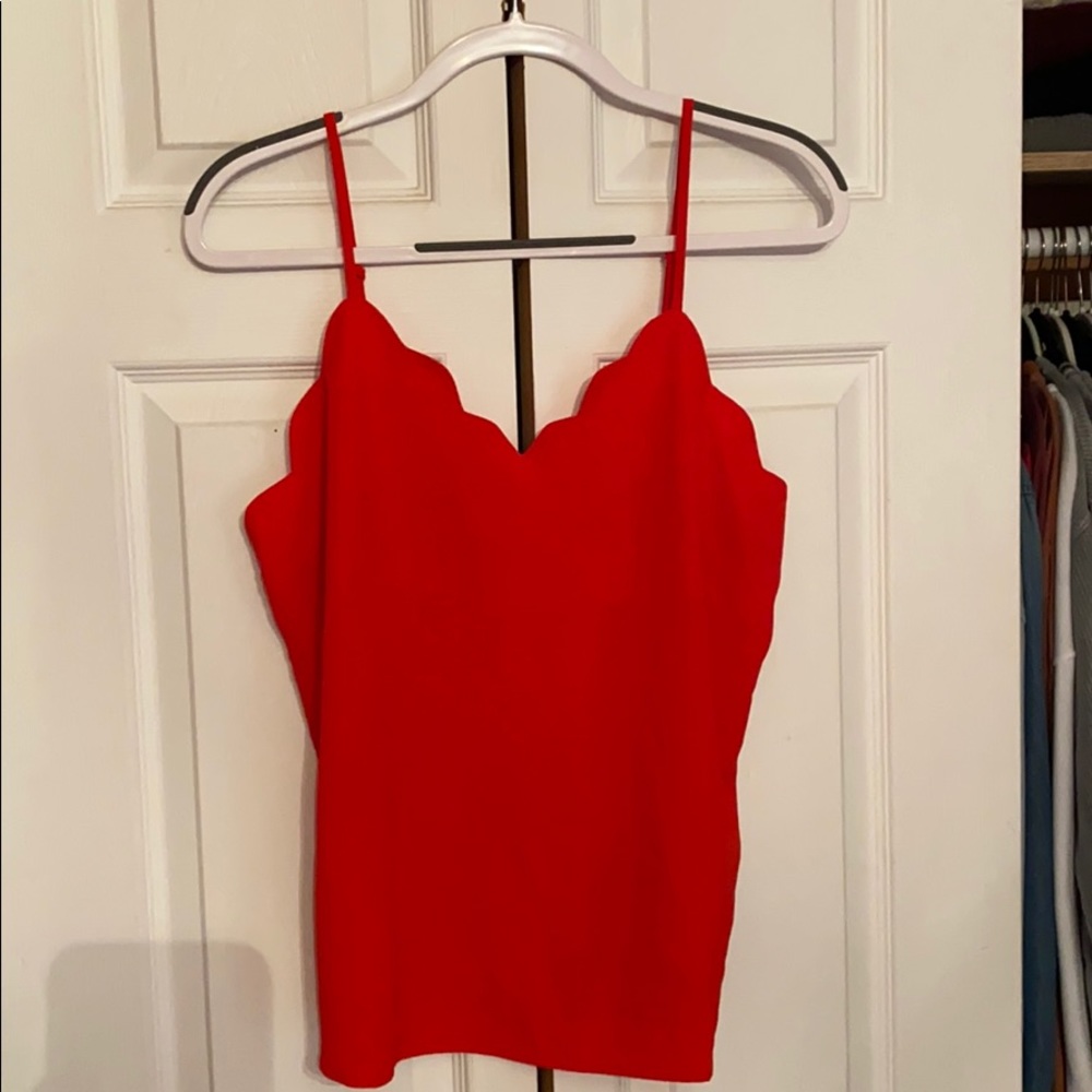 Scallop tank